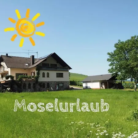 Landhaus Sonneninsel - Appartement Minheim Exterior photo